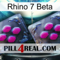 Rhino 7 Beta 01